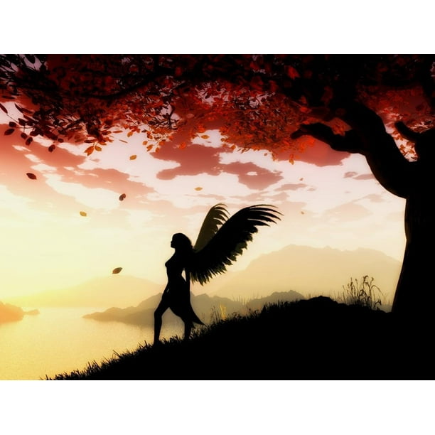 Sunset Wings Postcard Art Print